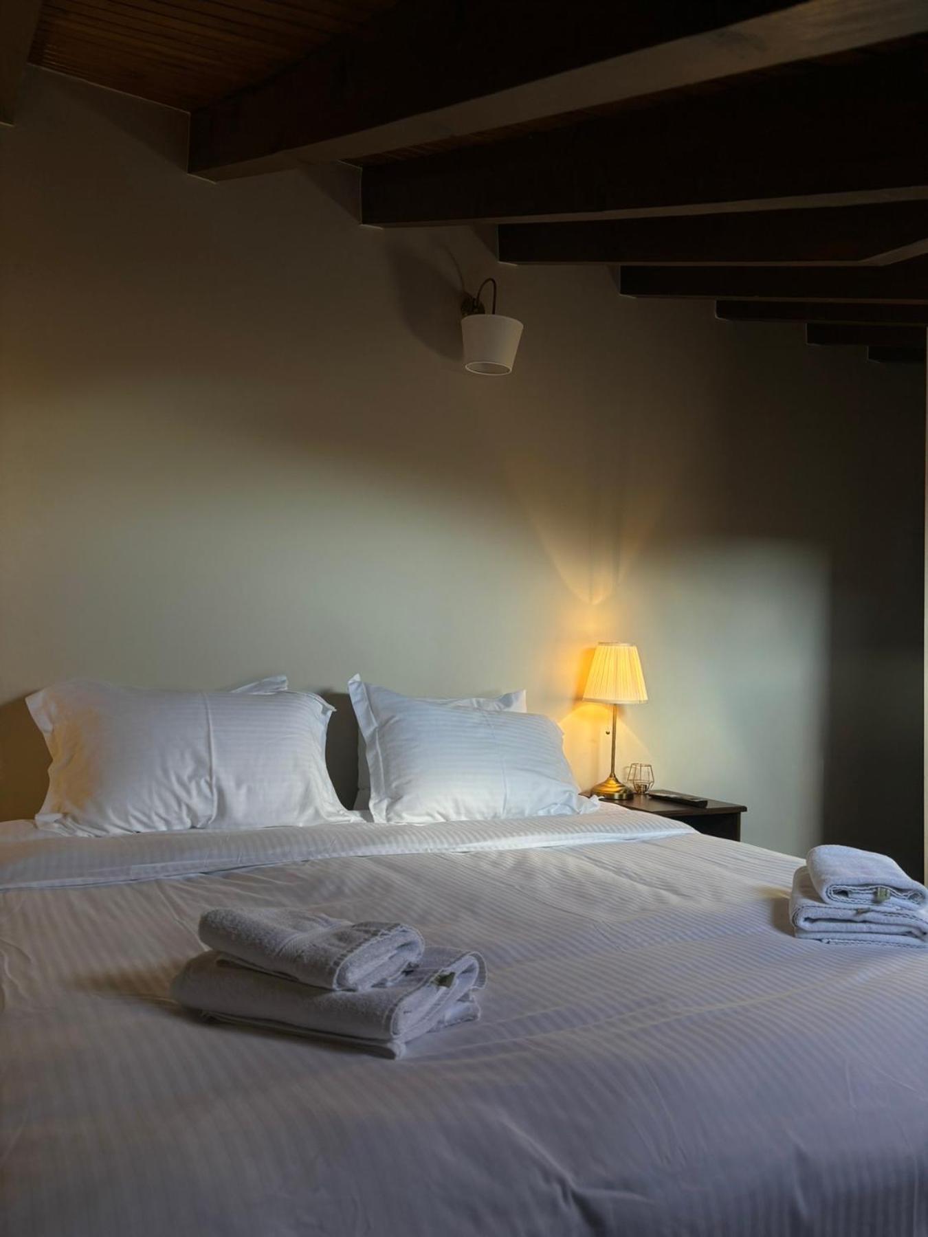 Guesthouse Lousios Димицана Экстерьер фото